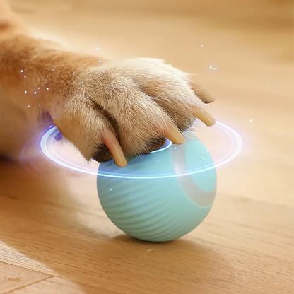 Smart Cat and Small Dog Toy Ball, Interactive and Fun, Automatic Electric Rolling Ball Toy for Housemates, Dog and Cat Accessories for Indoor Play